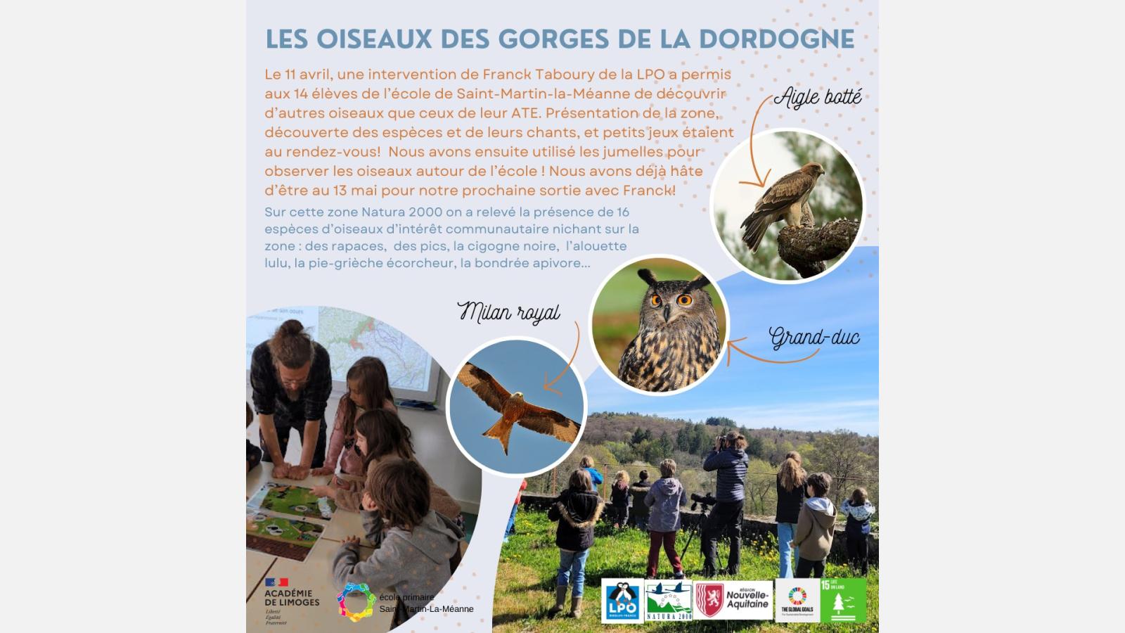 découverte des oiseaux des Gorges de la Dordogne par les élèves de l'école de Saint-Martin-la-Méanne. 