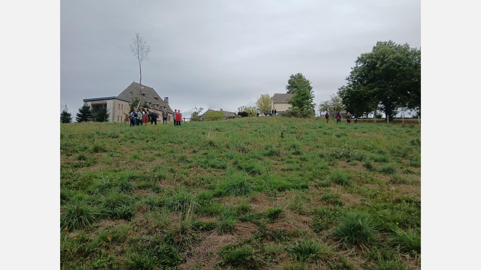 Prairie naturelle