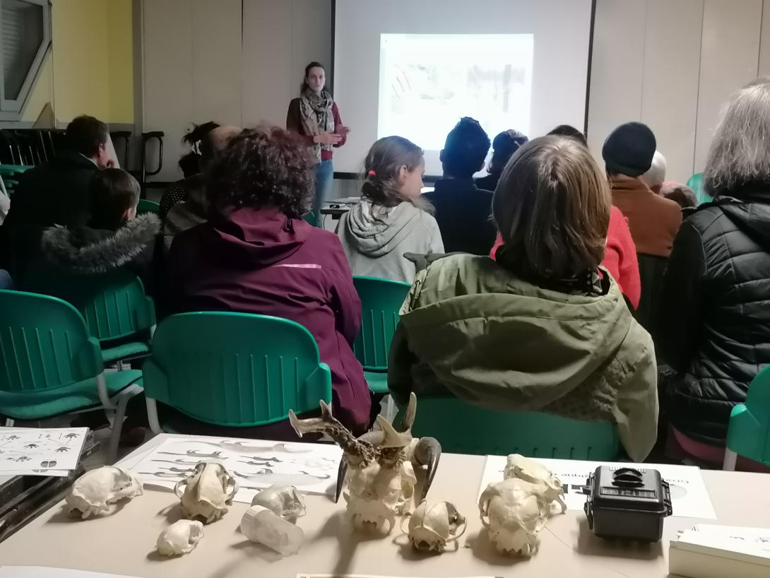 Conférence Chat forestier à Mauriac