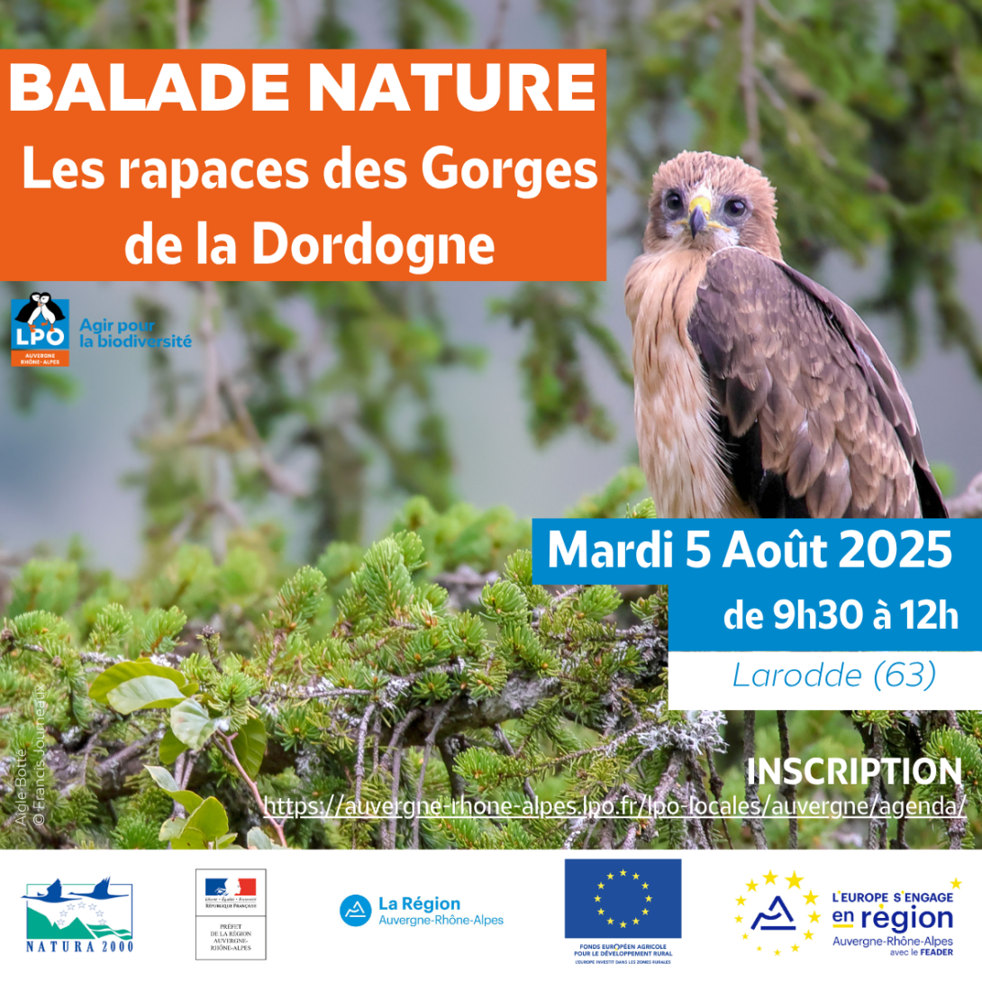 affiche sortie gorges de la dordogne
